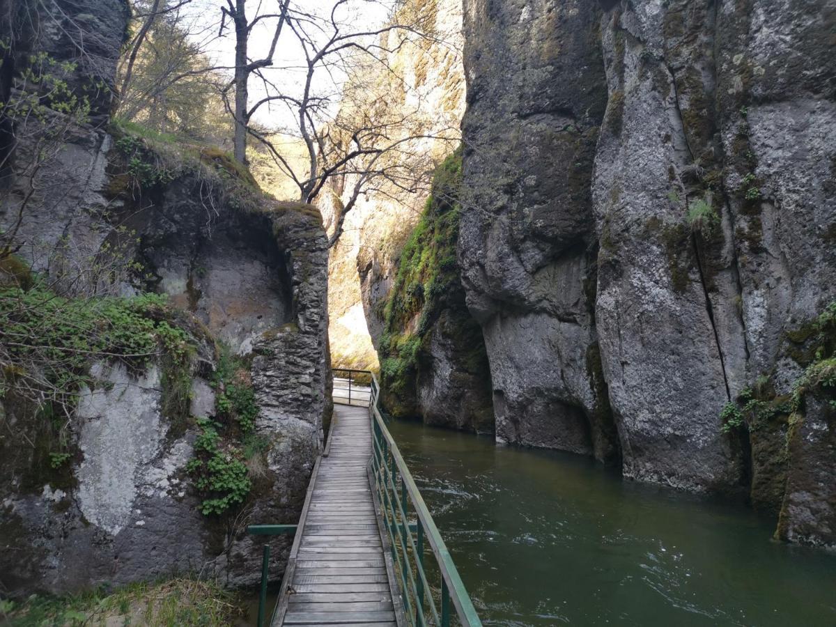 Къща Томови,Стаи За Гости Devin Bagian luar foto